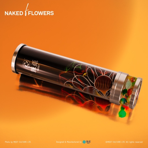 [XNK-1007] MEEET x Naked Inc. - Kaleidoscope (Flame Tree)